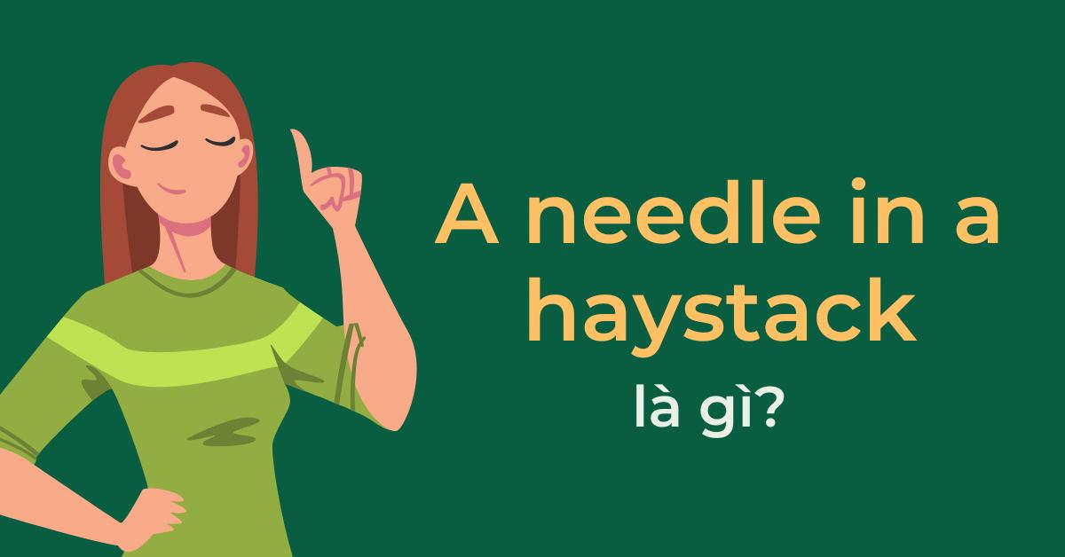 a-needle-in-a-haystack-la-gi-dinh-nghia-nguon-goc-va-cach-dung